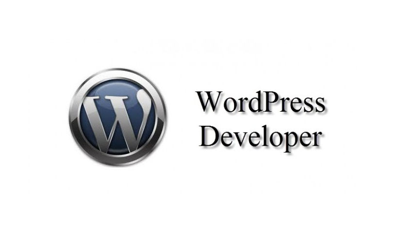 wordpress developer