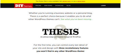 WordPress theme Thesis