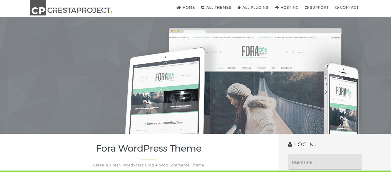 ecommerce theme for wordpress website