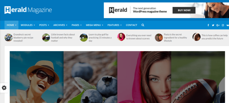 Herald WordPress Theme