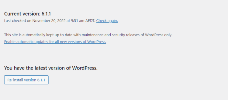 WordPress update version checks