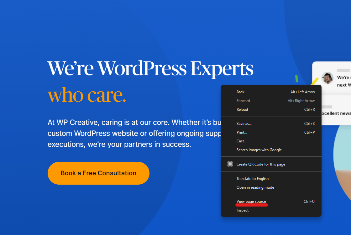 View Page Source Code to tell if a Website is WordPress