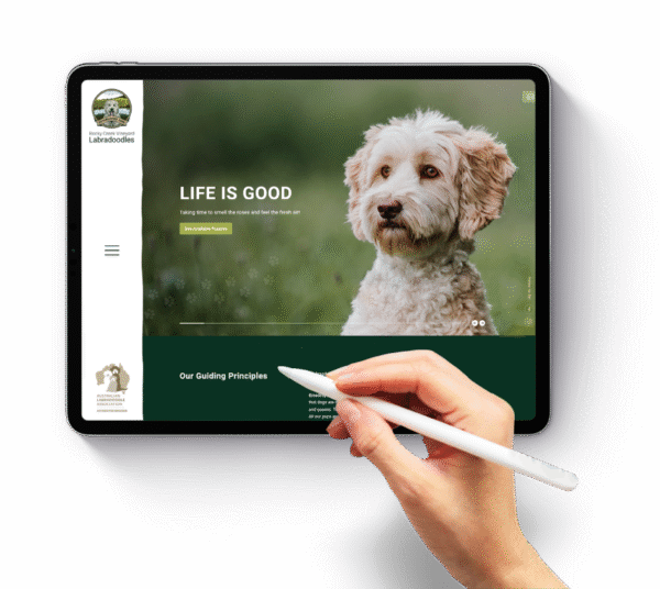 Adelaide WordPress Web Design Agency