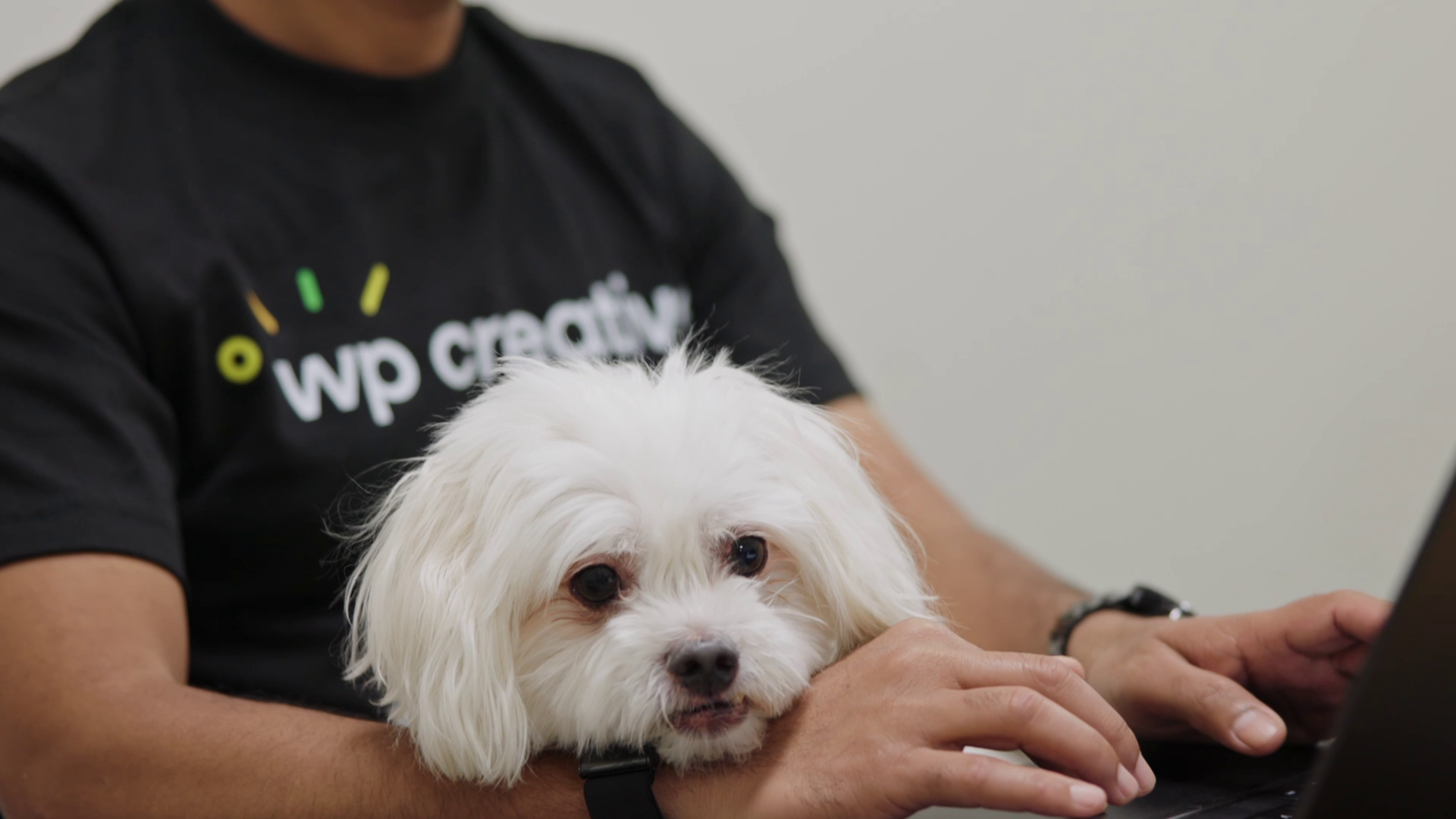 Max - CEO (Chief Entertainment Officer)